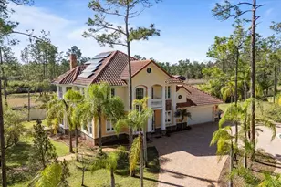 443 Juniper Ln, Ormond Beach, FL 32174 - Photo 4