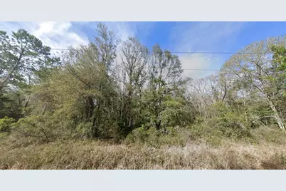 4590 Jonathan Street, Hastings, FL 32145 - Photo 12