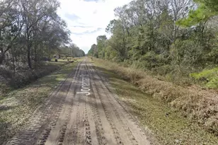 4590 Jonathan St, Hastings, FL 32145 - Photo 1