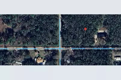 4590 Jonathan Street, Hastings, FL 32145 - Photo 6