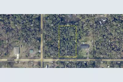 4590 Jonathan Street, Hastings, FL 32145 - Photo 4