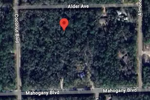 6327 Alder Ave, Bunnell, FL 32110 - Photo 1