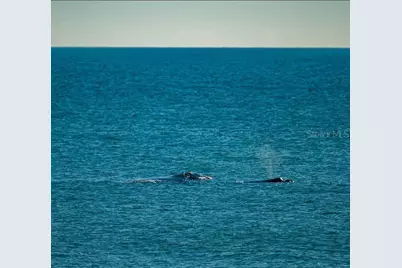 [Address not provided], Flagler Beach, FL 32136 - Photo 44