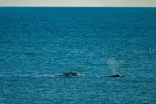 [Address not provided], Flagler Beach, FL 32136 - Photo 44