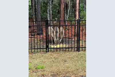 45 Lob Wedge Lane, Bunnell, FL 32110 - Photo 46