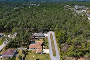 17 Sea Garden Path, Palm Coast, FL 32164 - Photo 62