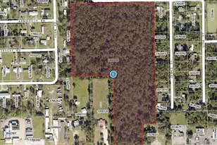 0 Sr-40, Astor, FL 32102 - Photo 1