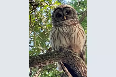 41 Cochise Court, Palm Coast, FL 32137 - Photo 20