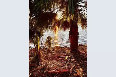 3668 John Anderson Dr, Ormond Beach, FL 32176 - Photo 22