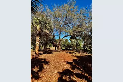 3668 John Anderson Dr, Ormond Beach, FL 32176 - Photo 20