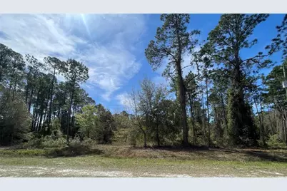 103 Rosewood Street, Georgetown, FL 32139 - Photo 1