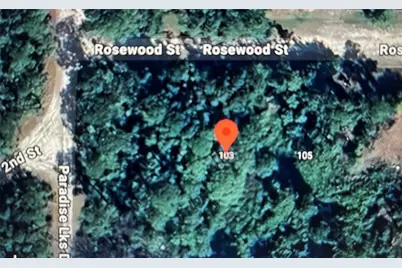 103 Rosewood Street, Georgetown, FL 32139 - Photo 2