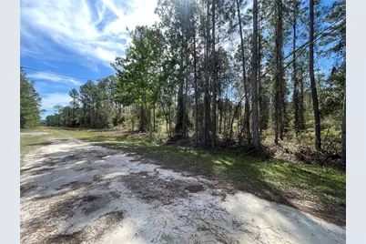 105 Rosewood Street, Georgetown, FL 32139 - Photo 6