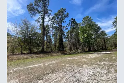 105 Rosewood Street, Georgetown, FL 32139 - Photo 8