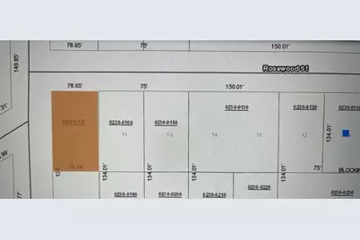 107 Rosewood Street, Georgetown, FL 32139 - Photo 2