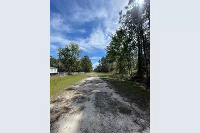 107 Rosewood Street, Georgetown, FL 32139 - Photo 6