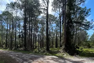 107 Rosewood St, Georgetown, FL 32139 - Photo 1