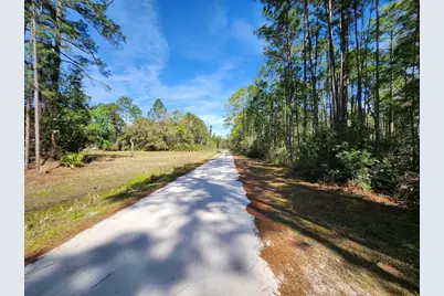 116 Mosswood Street, Georgetown, FL 32139 - Photo 2