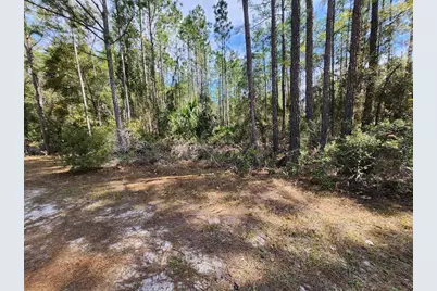 114 Mosswood Street, Georgetown, FL 32139 - Photo 6