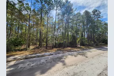 114 Mosswood Street, Georgetown, FL 32139 - Photo 4