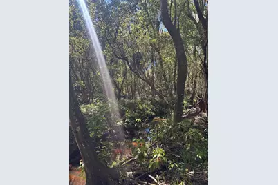 7265 Beach Road, Elkton, FL 32033 - Photo 60