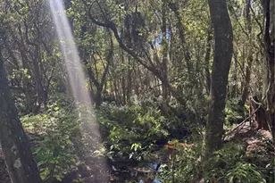 7265 Beach Rd, Elkton, FL 32033 - Photo 60