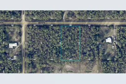 4255 Edward Street, Hastings, FL 32145 - Photo 4