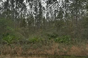 4255 Edward St, Hastings, FL 32145 - Photo 1