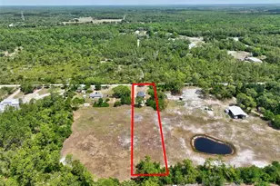 23528 Tex Wheeler Ave, Christmas, FL 32709 - Photo 52