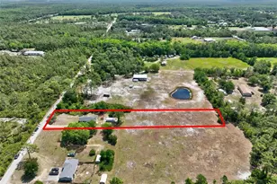 23528 Tex Wheeler Ave, Christmas, FL 32709 - Photo 54