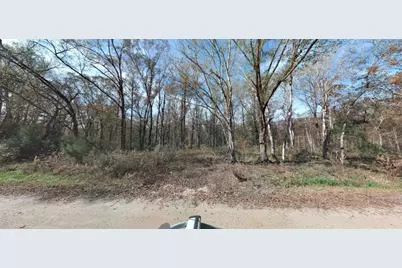 10555 Underwood Avenue, Hastings, FL 32145 - Photo 1