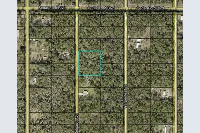 10430 Delgado Avenue, Hastings, FL 32145 - Photo 2