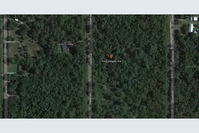 10430 Delgado Avenue, Hastings, FL 32145 - Photo 4