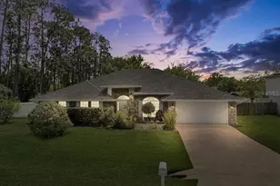 41 Red Mill Dr, Palm Coast, FL 32164 - Photo 1