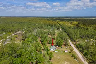 1782 Papaya St, Bunnell, FL 32110 - Photo 40