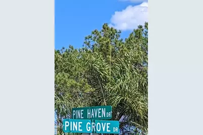 81 Pine Haven Dr, Palm Coast, FL 32164 - Photo 4