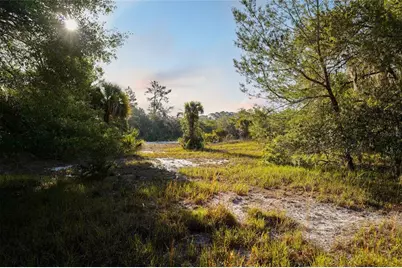 356 Drayton Island Road, Georgetown, FL 32139 - Photo 28