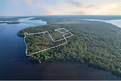 356 Drayton Island Road, Georgetown, FL 32139 - Photo 10