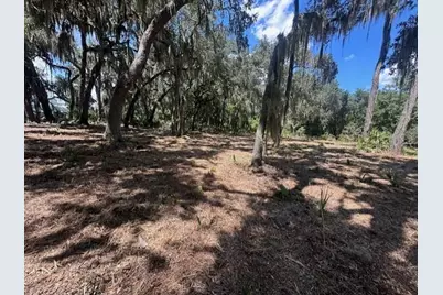 356 Drayton Island Road, Georgetown, FL 32139 - Photo 40