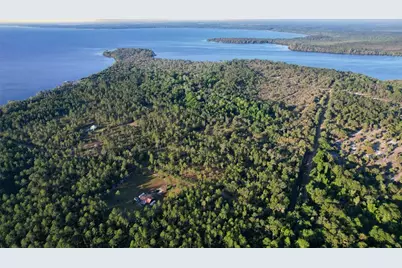 356 Drayton Island Road, Georgetown, FL 32139 - Photo 16