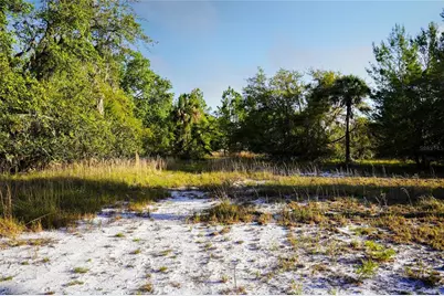 356 Drayton Island Road, Georgetown, FL 32139 - Photo 30