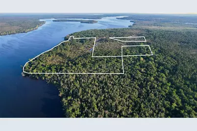 356 Drayton Island Road, Georgetown, FL 32139 - Photo 14