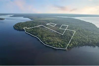 356 Drayton Island Road, Georgetown, FL 32139 - Photo 6