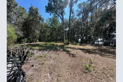 356 Drayton Island Road, Georgetown, FL 32139 - Photo 32