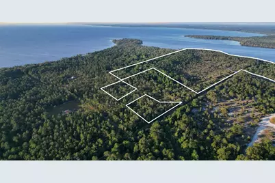 356 Drayton Island Road, Georgetown, FL 32139 - Photo 4