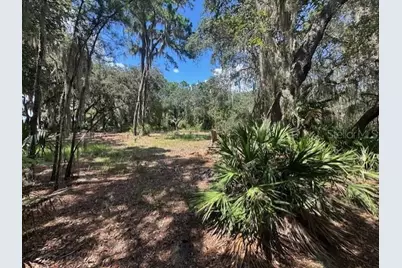 356 Drayton Island Road, Georgetown, FL 32139 - Photo 36