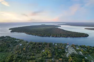 356 Drayton Island Rd, Georgetown, FL 32139 - Photo 1