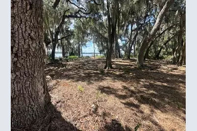 356 Drayton Island Road, Georgetown, FL 32139 - Photo 38