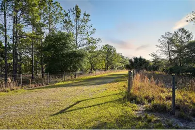 356 Drayton Island Road, Georgetown, FL 32139 - Photo 26