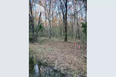 10450 Weatherby Avenue, Hastings, FL 32145 - Photo 1